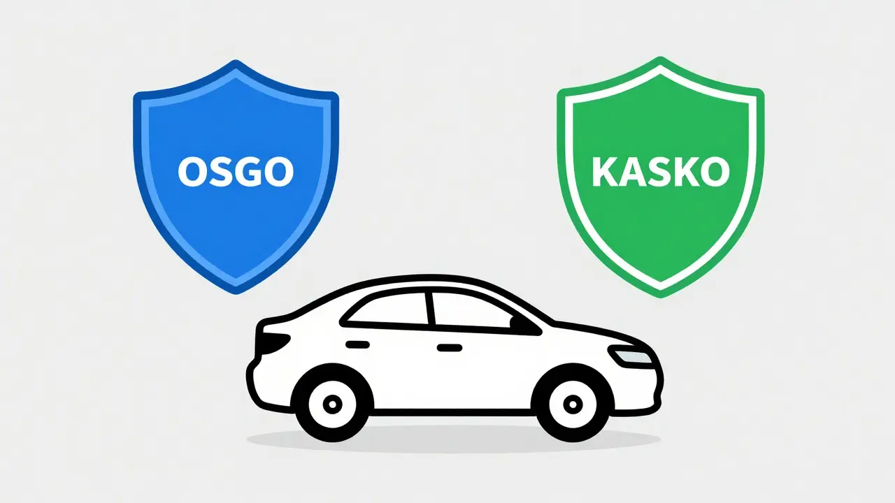 Щиты ОСАГО и КАСКО защищают автомобиль